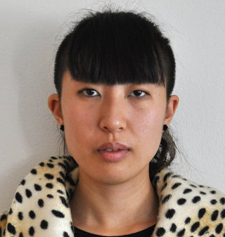 Fei Liu